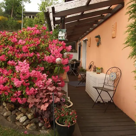 Koehler Apartment